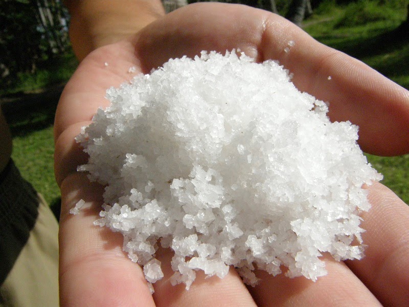 バリ島、クサンバ村の天然塩