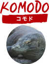 コモド
