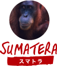 スマトラ