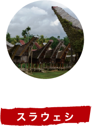 スラウェシ