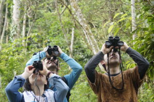 スマトラのジャングルでオランウータン探しの旅