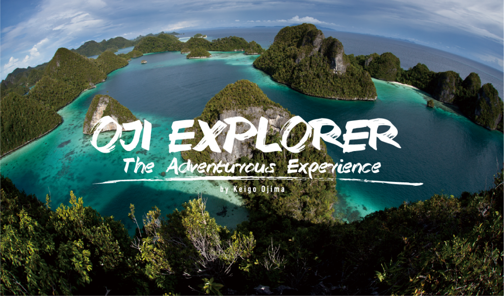 about-ojiexplorer