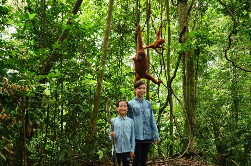 こんな体験をしました