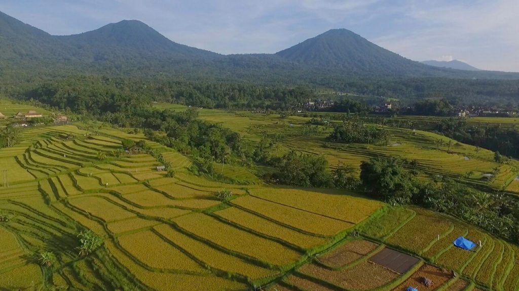 worldheritage-subak-jatiluwih