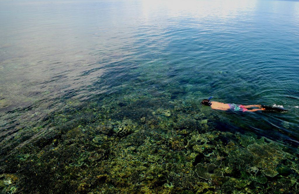 explore-rajaampat-corals