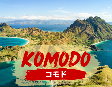 コモド島&フローレスの魅力