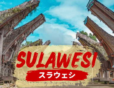 スラウェシ島の魅力