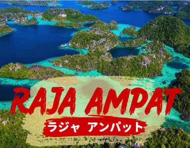 ラジャアンパットの魅力