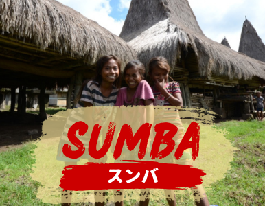 スンバ島の魅力