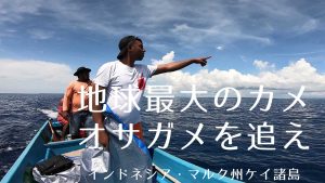 インドネシアでオサガメ探し