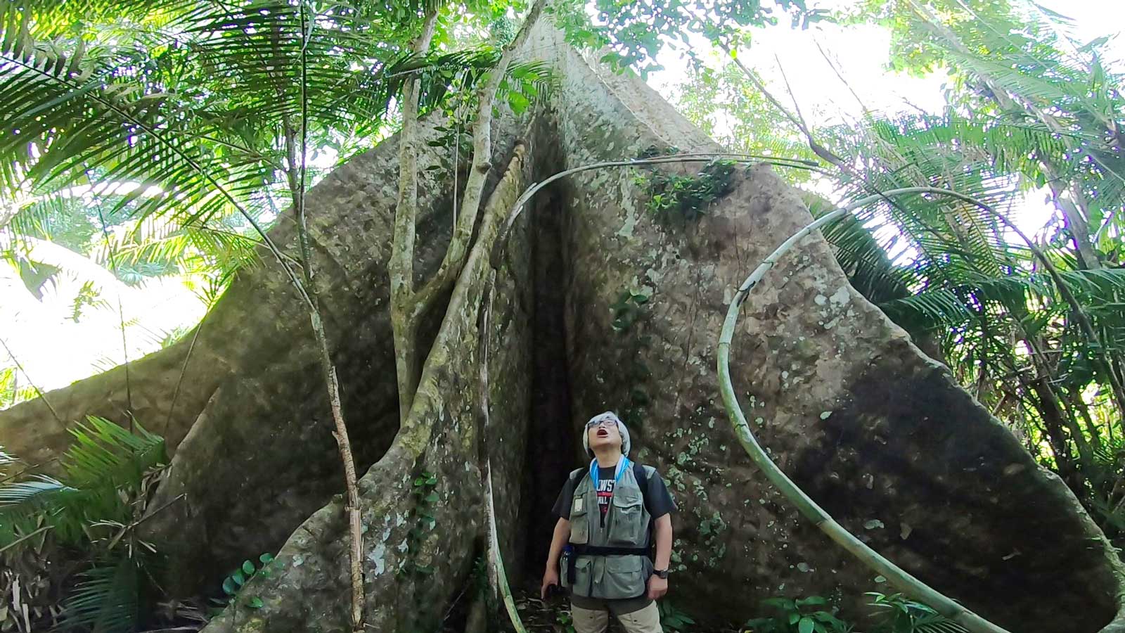 こんな体験をしました