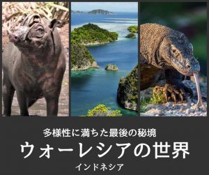 ウォーレシアにいる動物