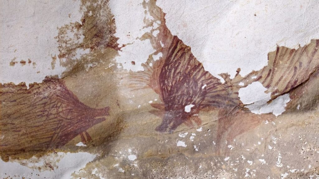 世界最古の動物洞窟壁画とされるスラウェシ島マロス地方のリアンテドンゲ