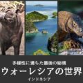 ウォーレシアにいる動物