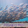 バリ島おすすめのダイビング・スポット3選。写真&地図