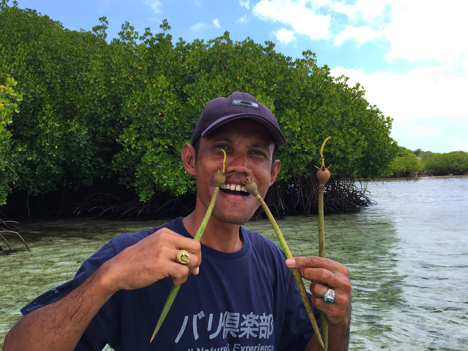 mangrove-staff-wilson