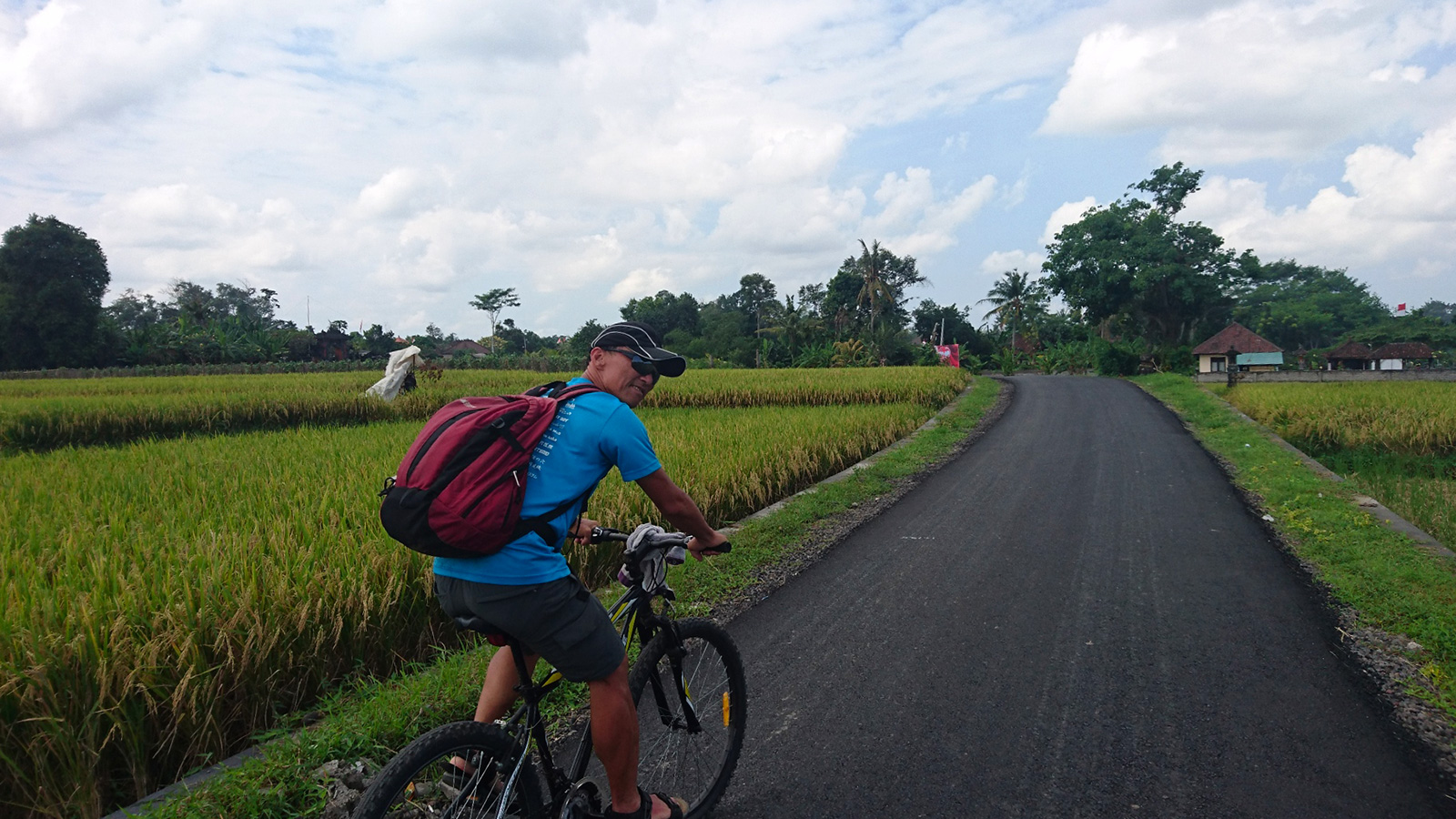 explorebali-cycling-ricefield