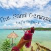 【 最新情報 】レンボンガン島のお隣チュニガン島にあるオシャレカフェ『 The Sand Ceningan 』