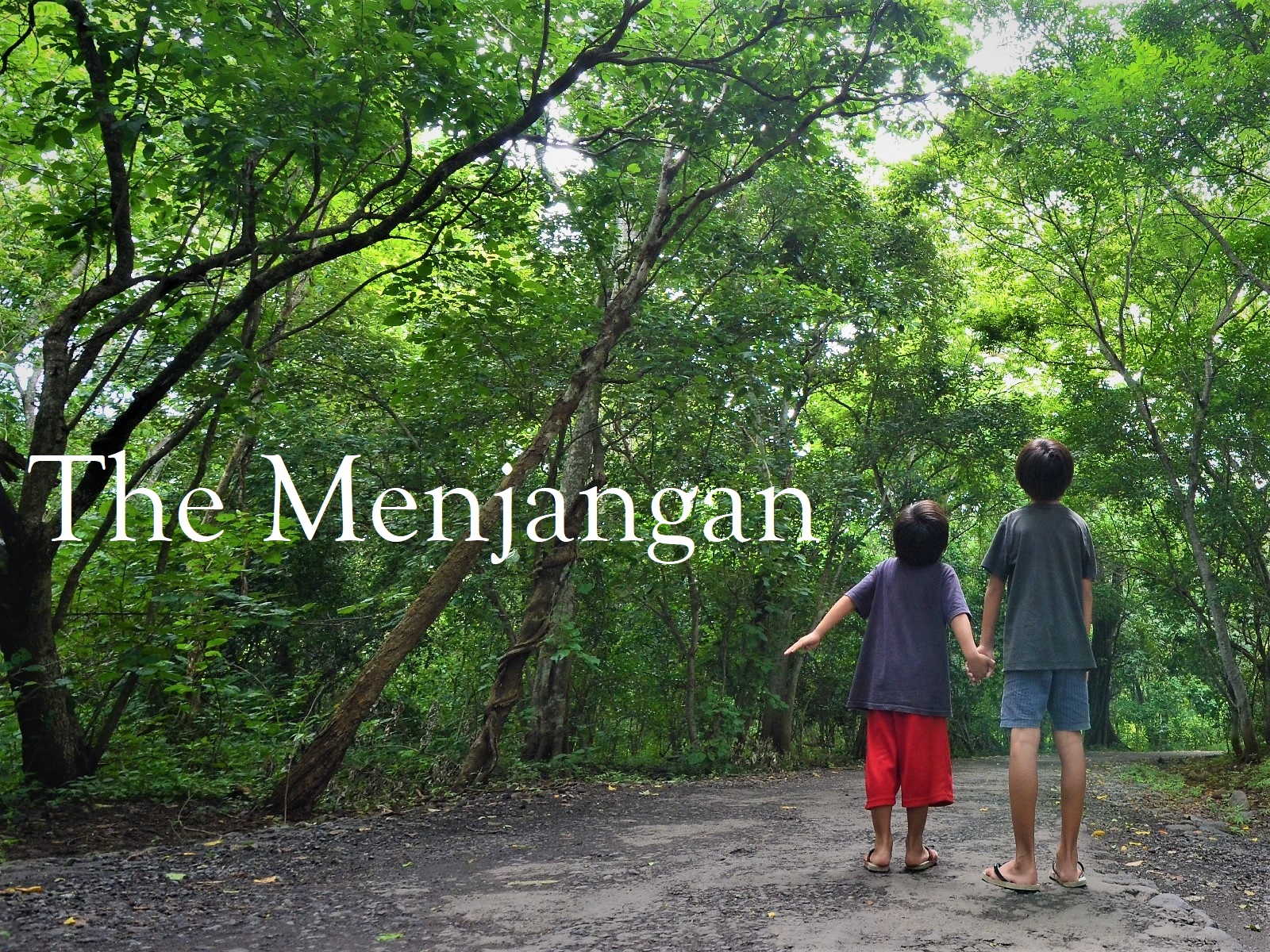 【バリ島西部】雨季のザ・ムンジャンガン：The Menjangan