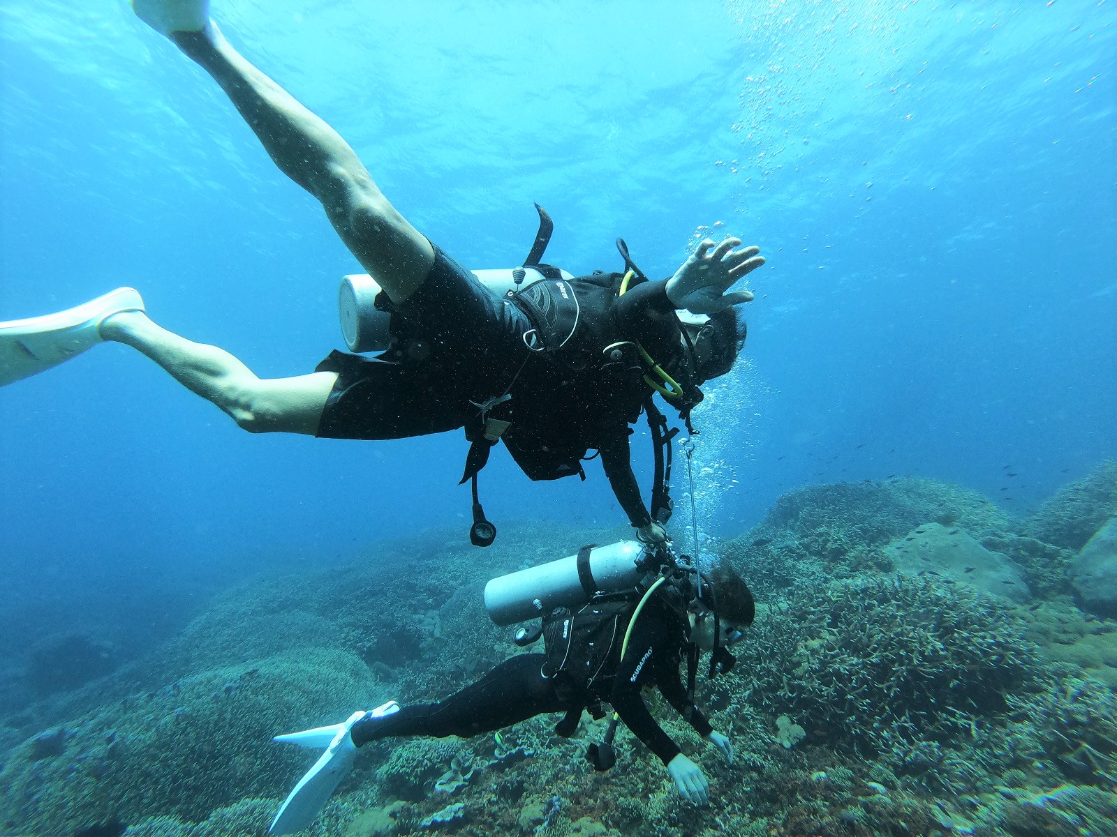 バリ島体験ダイビング
