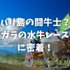 【2/7(日) オンラインツアー】バリ島の闘牛士！ヌガラ地方の伝統水牛レースに密着