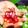 【7/4(日) オンラインツアー お土産付き！】バリ島コーヒー農園！収穫から焙煎まで極上のコーヒーを楽しもう