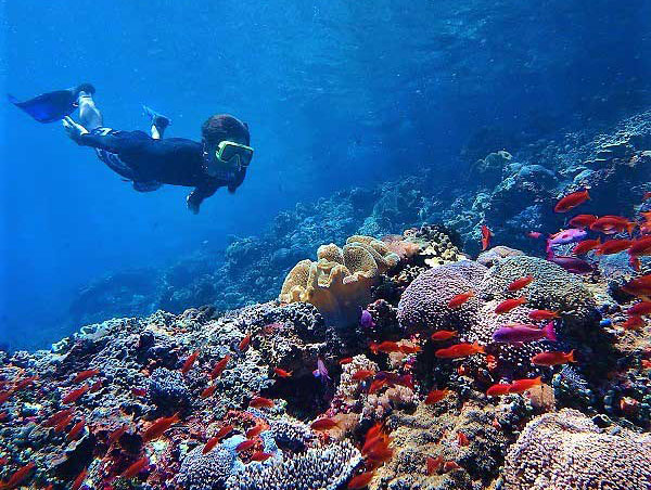 ペニダ島のサンゴ礁