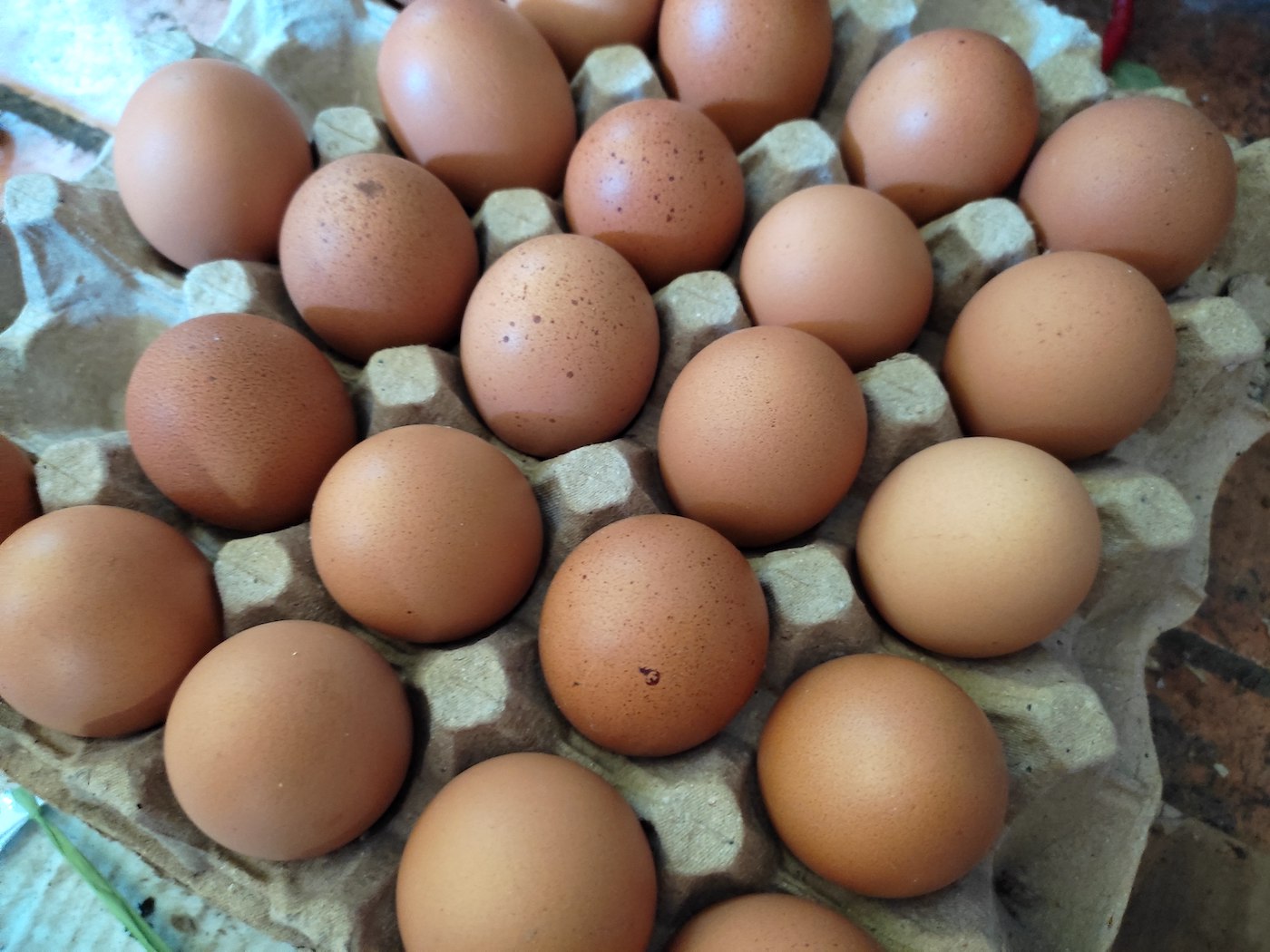 バリ島のワルンでバラ売りしている卵
