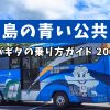 【バリ島の青いバス】サルバギタ（Trans Sarbagita）の乗り方完全ガイド 2024年【バリ島移動】