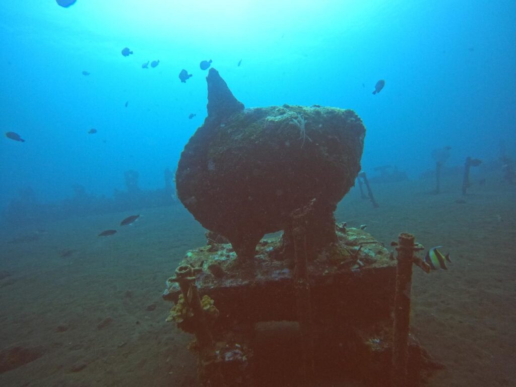 シュノーケリング