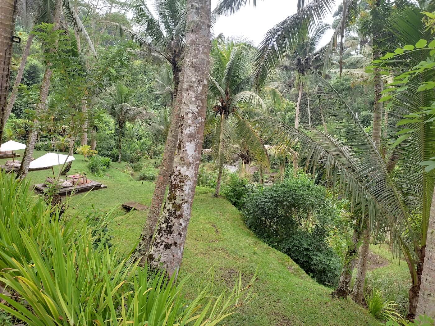 カユマニス・ウブドのガーデン