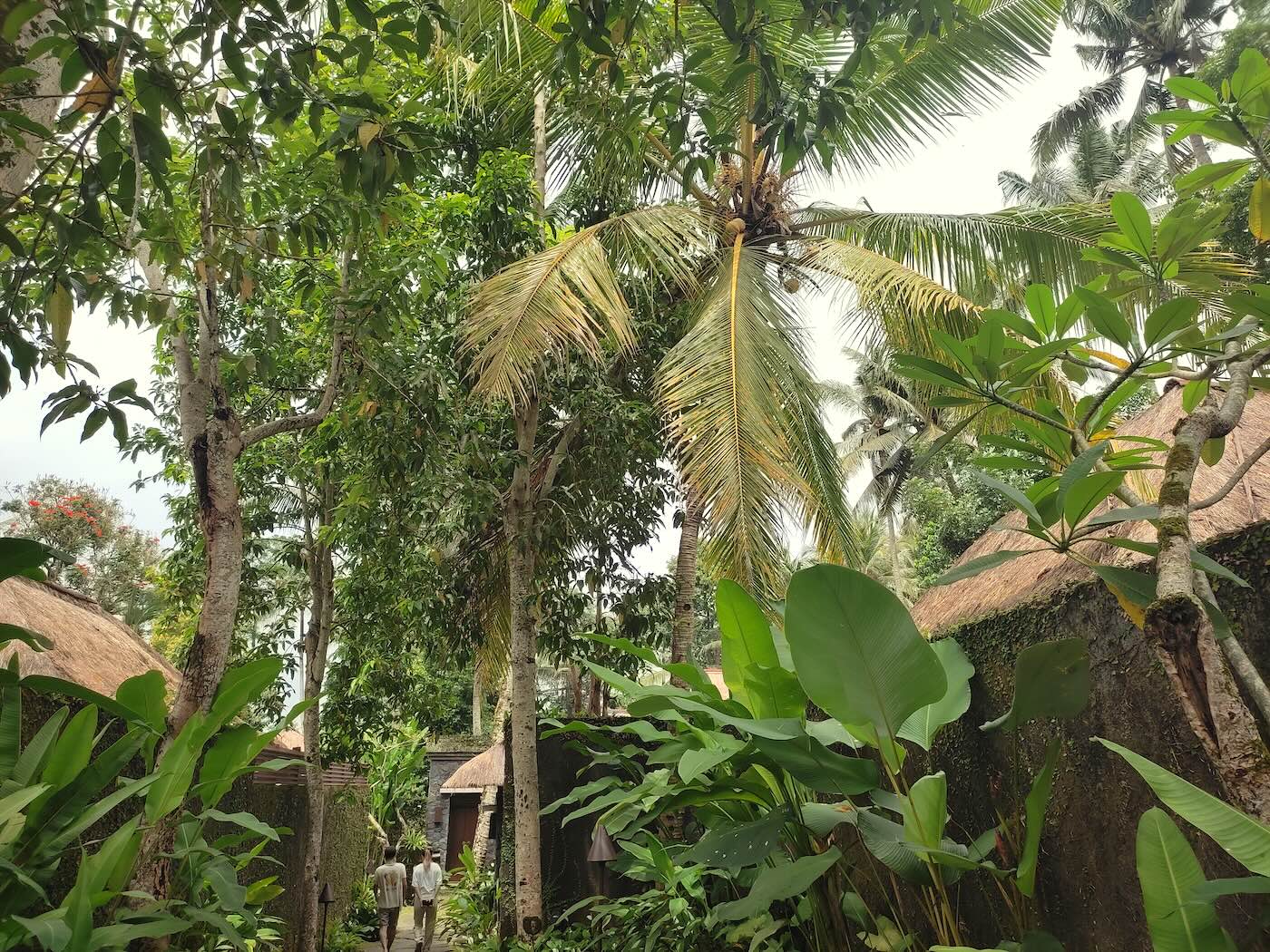 カユマニス・ウブドの敷地内