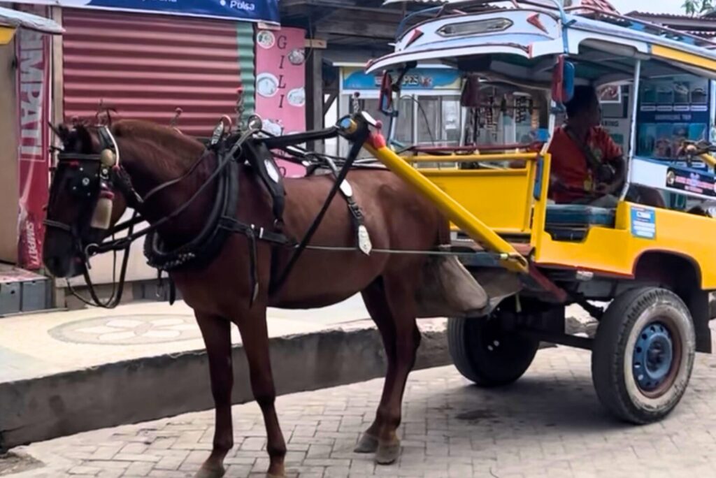 チドモ馬車