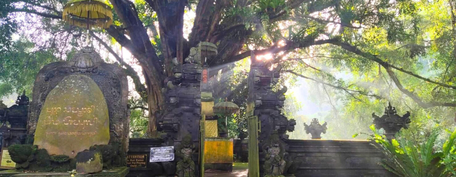 世界遺産
