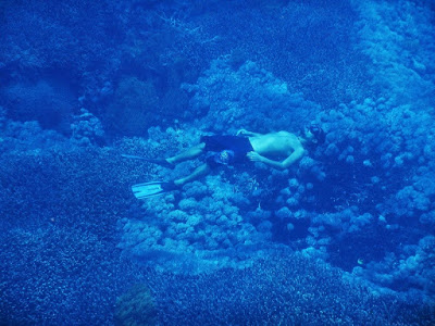 バリ島とレンボンガン島オリンパスの防水デジカメ比較